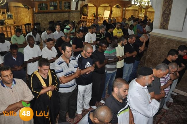 tarawee7 kabeer j (1).JPG